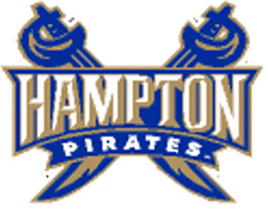 Hampton Pirates 2002-2006 Secondary Logo iron on transfers for T-shirts